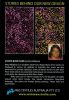 stories_behind_our_designs_09
